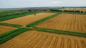 Что такое земли сельскохозяйственного назначения и разрешенные виды их использования